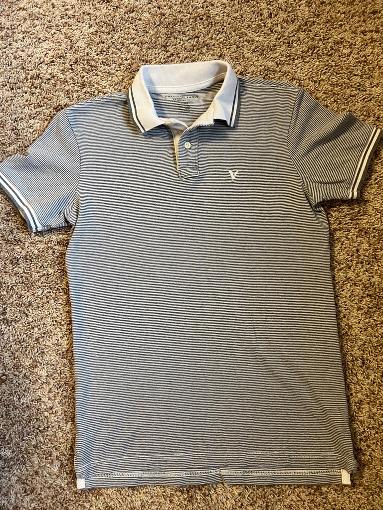 American Eagle Outfitters Men's Micro-Striped Polo In Blue And White